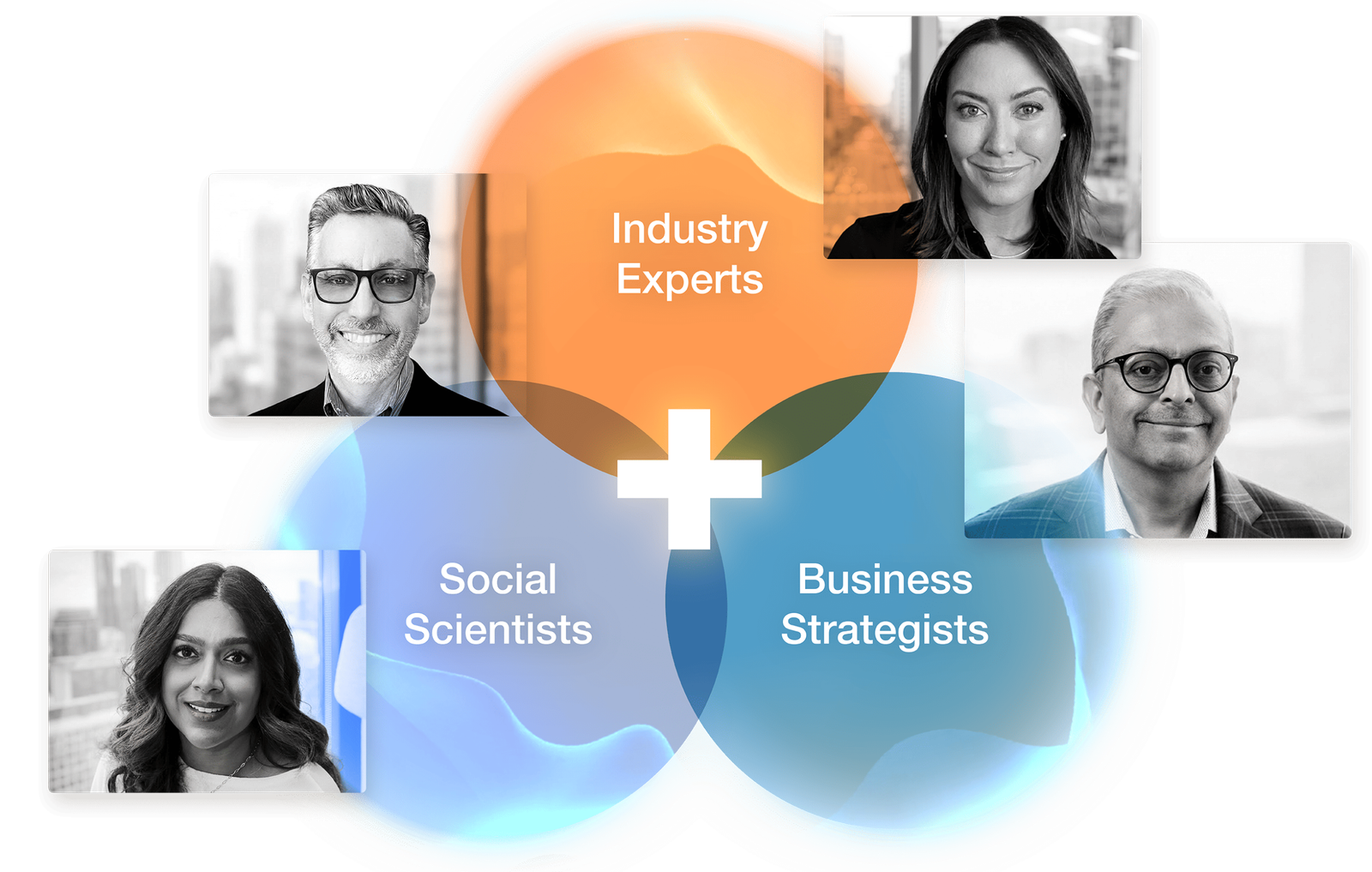 Expertise overlap: industry experts, social scientists, business strategists